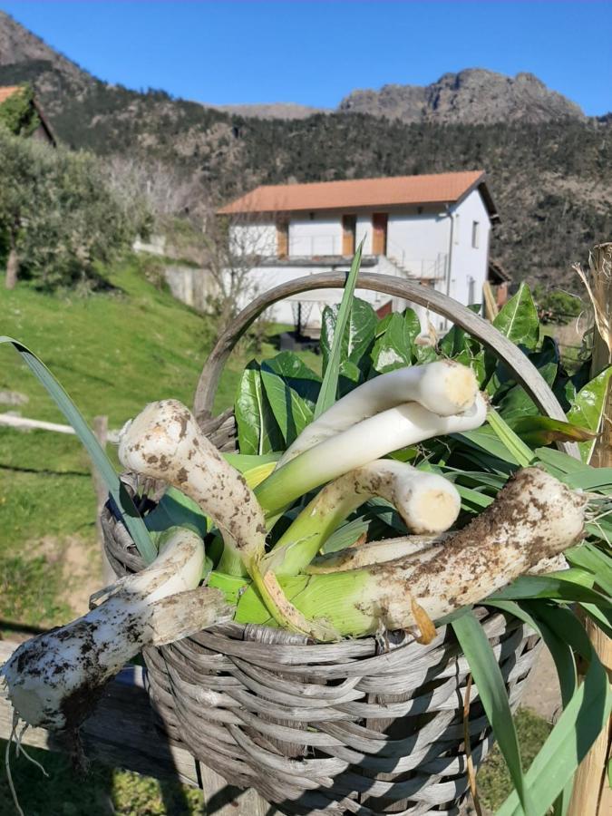 멜레 Agriturismo Grilla 빌라 외부 사진