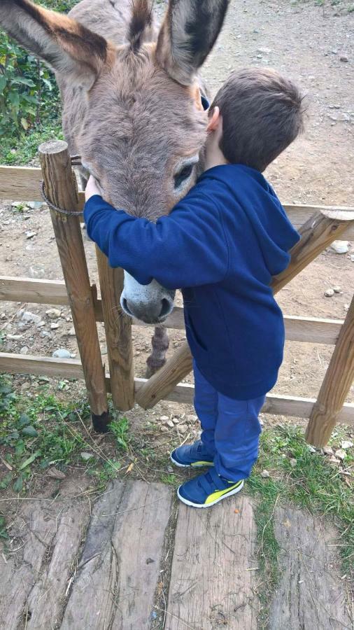 멜레 Agriturismo Grilla 빌라 외부 사진