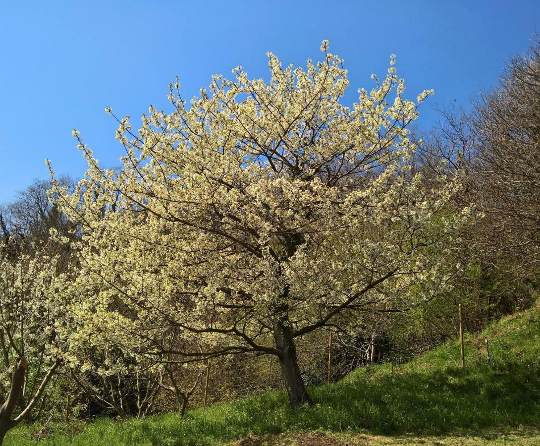 멜레 Agriturismo Grilla 빌라 외부 사진